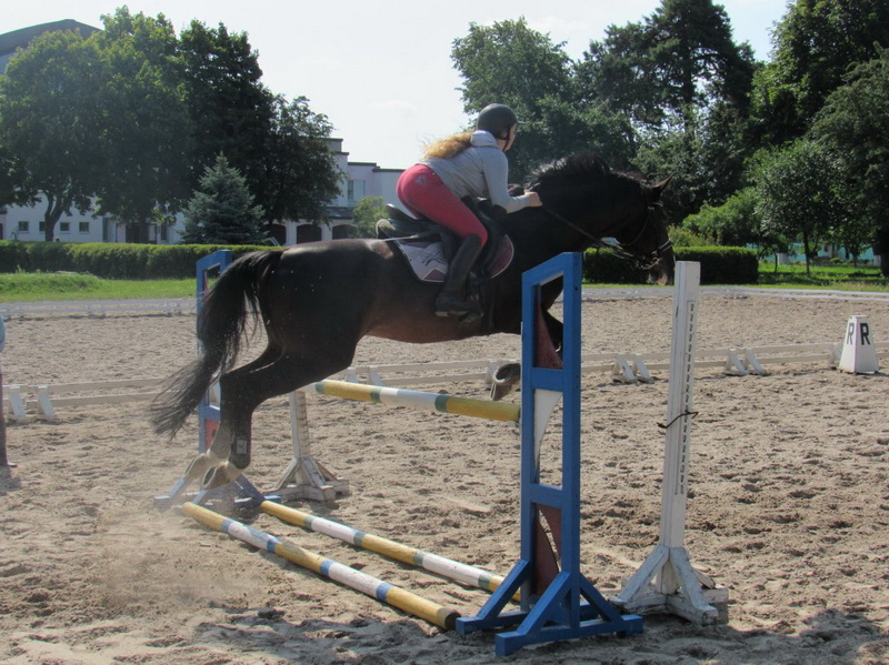 Horseback riding in Belarus