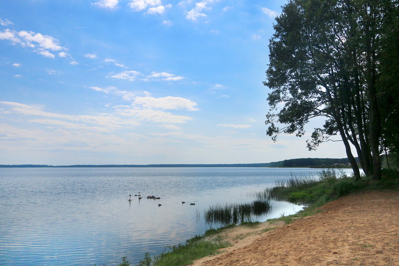 Kugel trocken belarus attracts with nature and.shopping Tulpen Vorschule