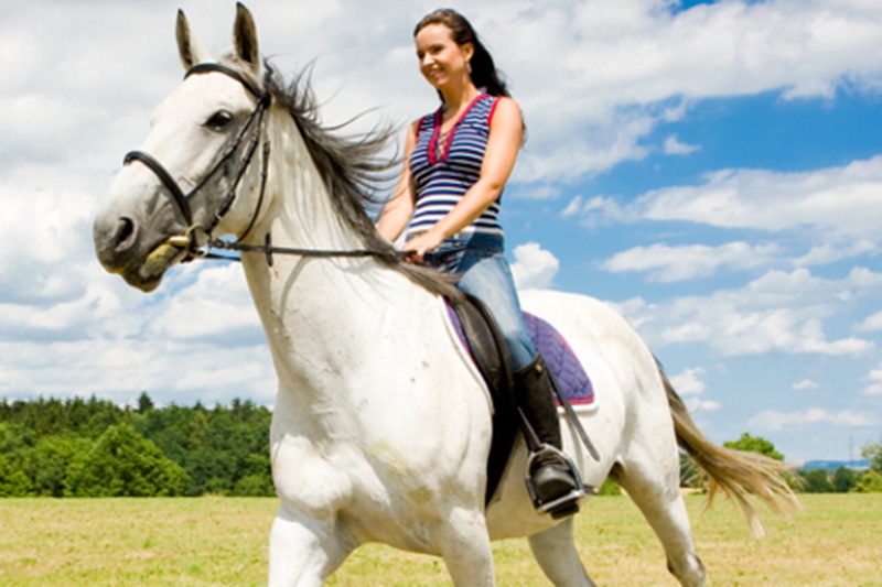 Horseback riding in Belarus
