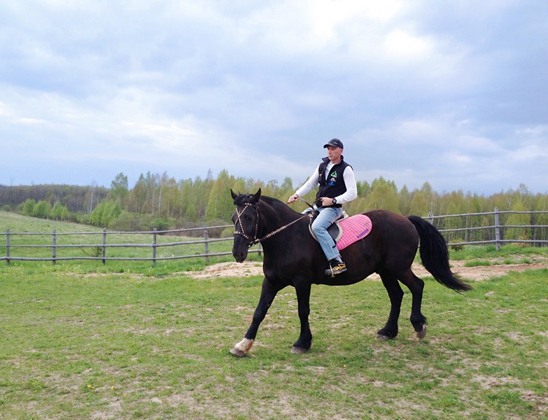 Прогулки на лошадях в Беларуси