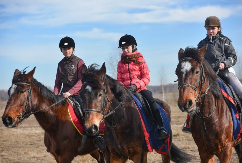 Horseback riding in Belarus