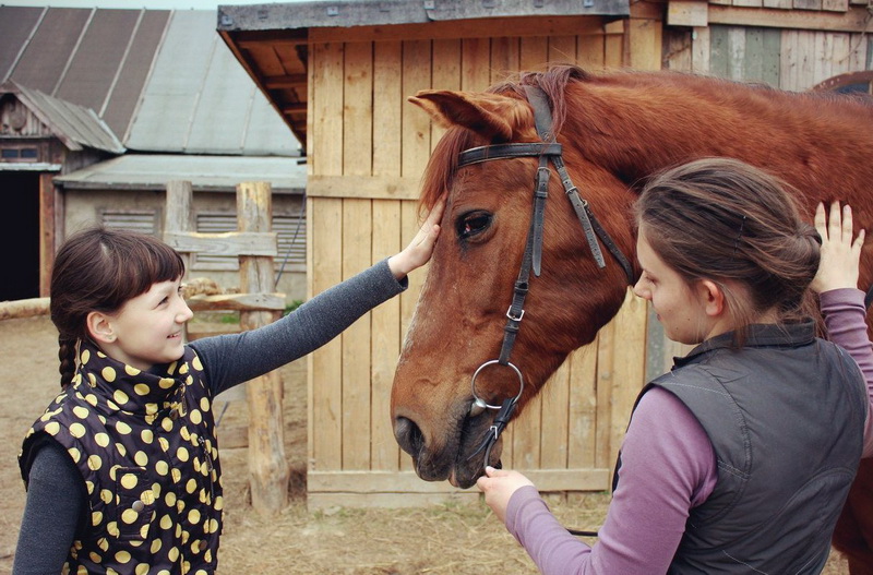 Прогулки на лошадях в Беларуси