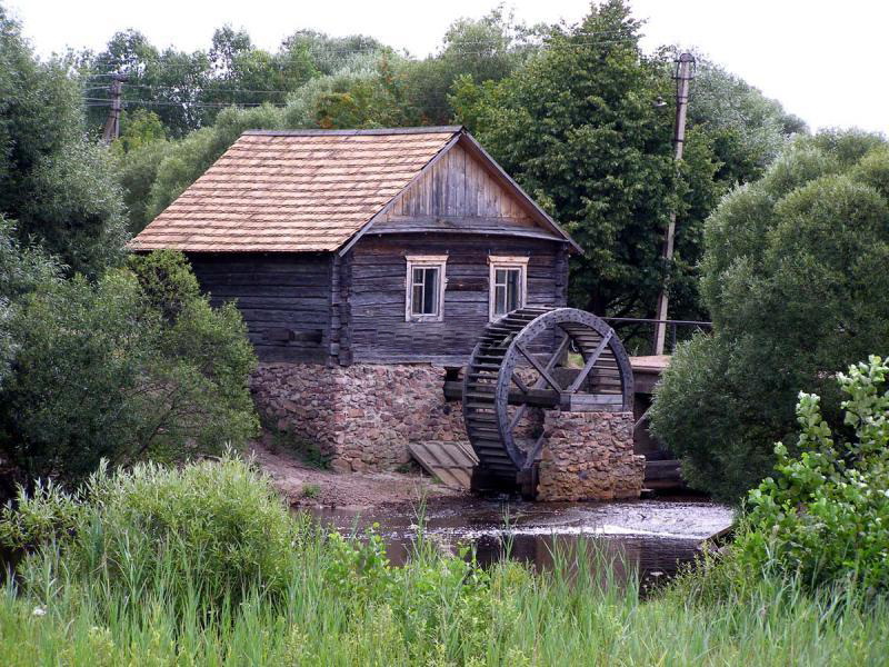 Polessky radiation-ecological reserve