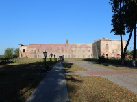 Руины Быховского замка