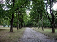 Парк Маньковичи