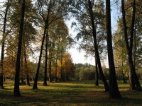 Park Yuzefpole in Tolochin