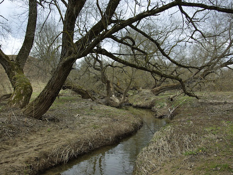 Городище на р. Менке