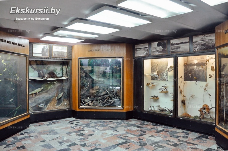 Музей прыроды і экалогіі